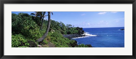 Framed Palm trees with plants growing at a coast, Black Sand Beach, Hana Highway, Waianapanapa State Park, Maui, Hawaii, USA Print