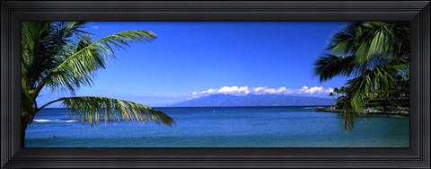 Framed Palm trees on the beach, Kapalua Beach, Molokai, Maui, Hawaii, USA Print