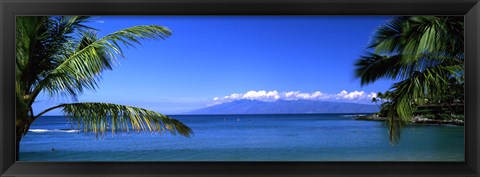 Framed Palm trees on the beach, Kapalua Beach, Molokai, Maui, Hawaii, USA Print