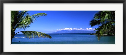 Framed Palm trees on the beach, Kapalua Beach, Molokai, Maui, Hawaii, USA Print