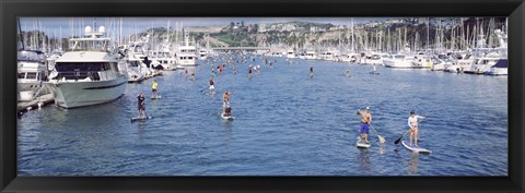 Framed Paddleboarders and yachts, Dana Point, California Print