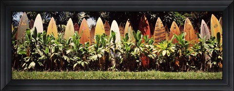 Framed Surfboard fence in a garden, Maui, Hawaii, USA Print