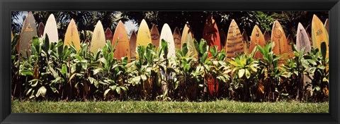 Framed Surfboard fence in a garden, Maui, Hawaii, USA Print