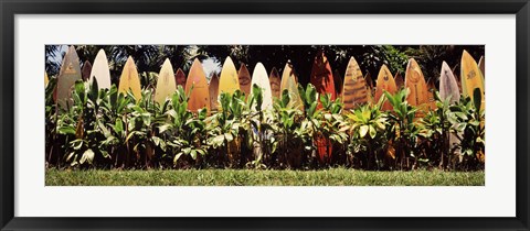 Framed Surfboard fence in a garden, Maui, Hawaii, USA Print