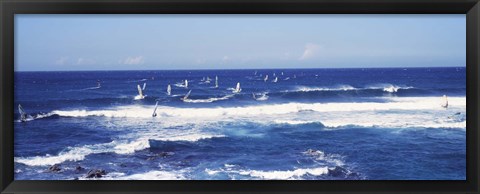 Framed Tourists windsurfing, Hookipa Beach Park, Maui, Hawaii Print