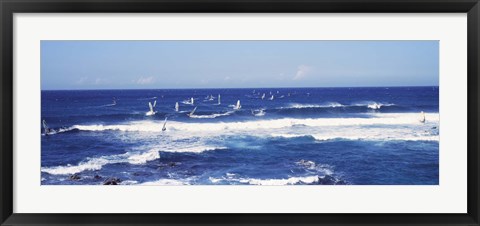 Framed Tourists windsurfing, Hookipa Beach Park, Maui, Hawaii Print