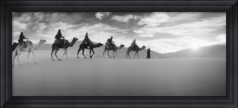 Framed Tourists riding camels through the Sahara Desert landscape led by a Berber man, Morocco (black and white) Print