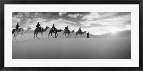 Framed Tourists riding camels through the Sahara Desert landscape led by a Berber man, Morocco (black and white) Print