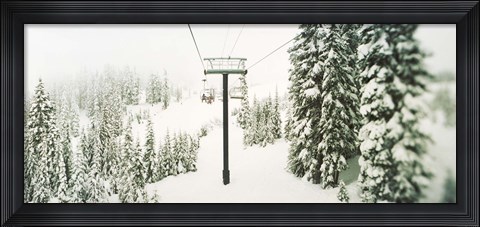 Framed Chair lift and snowy evergreen trees at Stevens Pass, Washington State, USA Print