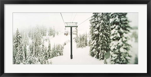 Framed Chair lift and snowy evergreen trees at Stevens Pass, Washington State, USA Print