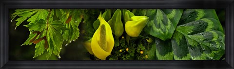 Framed Leaves and yellow flowers Print
