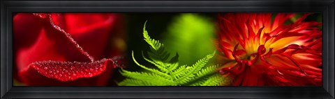 Framed Leaves and red flowers Print