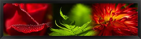 Framed Leaves and red flowers Print