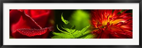 Framed Leaves and red flowers Print