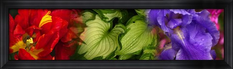 Framed Tulip and Iris flowers Print