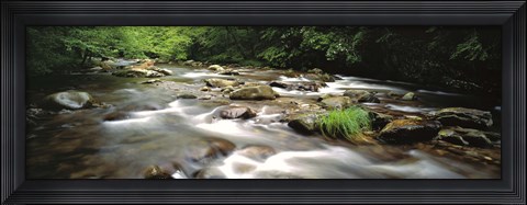 Framed River flowing through a forest, Little Pigeon River, Great Smoky Mountains National Park, Tennessee, USA Print