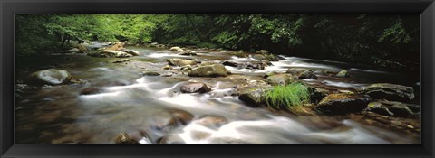 Framed River flowing through a forest, Little Pigeon River, Great Smoky Mountains National Park, Tennessee, USA Print