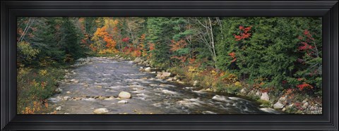 Framed River flowing through a forest, Ellis River, White Mountains, New Hampshire, USA Print
