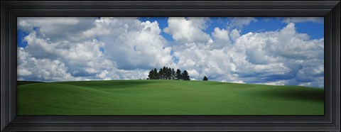 Framed Trees on the top of a hill, Palouse, Whitman County, Washington State, USA Print
