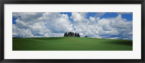 Framed Trees on the top of a hill, Palouse, Whitman County, Washington State, USA Print