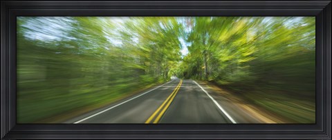 Framed Treelined road viewed from a moving vehicle Print