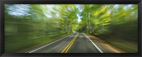 Framed Treelined road viewed from a moving vehicle Print