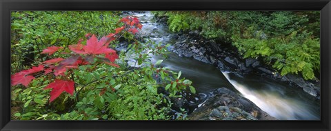 Framed River flowing through a forest, Black River, Upper Peninsula, Michigan (horizontal) Print