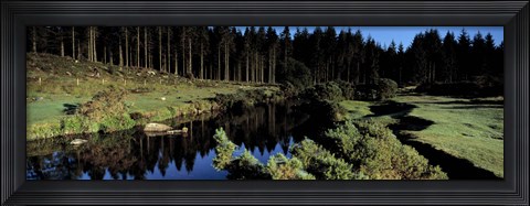 Framed River flowing through a forest, East Dart River, Dartmoor, Devon, England Print