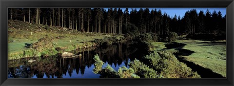 Framed River flowing through a forest, East Dart River, Dartmoor, Devon, England Print