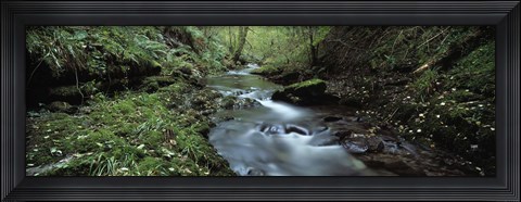 Framed River flowing through a forest, River Lyd, Lydford Gorge, Dartmoor, Devon, England Print