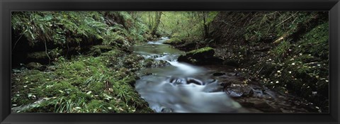 Framed River flowing through a forest, River Lyd, Lydford Gorge, Dartmoor, Devon, England Print