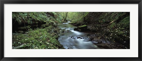 Framed River flowing through a forest, River Lyd, Lydford Gorge, Dartmoor, Devon, England Print