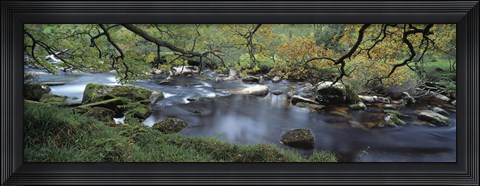 Framed River flowing through a forest, West Dart River, Dartmeet, Devon, England Print