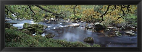 Framed River flowing through a forest, West Dart River, Dartmeet, Devon, England Print