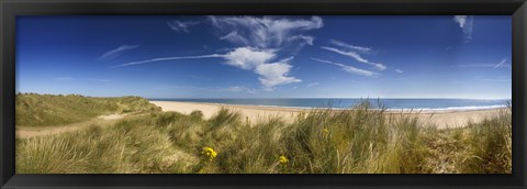 Framed Marram Grass, dunes and beach, Winterton-on-Sea, Norfolk, England Print