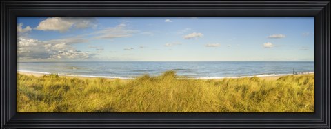 Framed Grass on the beach, Horsey Beach, Norfolk, England Print