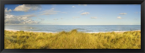 Framed Grass on the beach, Horsey Beach, Norfolk, England Print