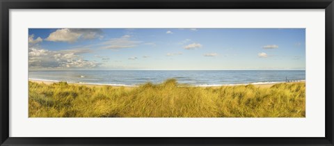 Framed Grass on the beach, Horsey Beach, Norfolk, England Print
