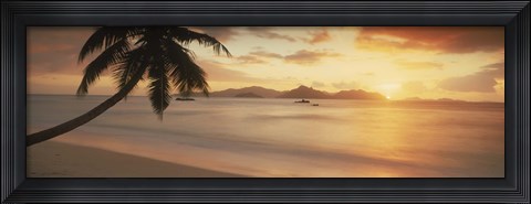 Framed Silhouette of a palm tree on the beach at sunset, La Digue Island, Praslin Island, Seychelles Print