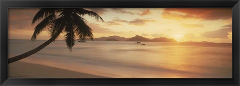 Framed Silhouette of a palm tree on the beach at sunset, La Digue Island, Praslin Island, Seychelles Print