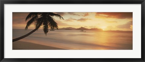 Framed Silhouette of a palm tree on the beach at sunset, La Digue Island, Praslin Island, Seychelles Print