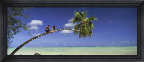 Framed Couple on trunk of a palm tree on the beach, Aitutaki, Cook Islands Print