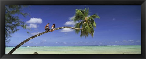 Framed Couple on trunk of a palm tree on the beach, Aitutaki, Cook Islands Print
