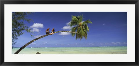 Framed Couple on trunk of a palm tree on the beach, Aitutaki, Cook Islands Print