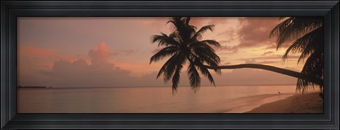 Framed Silhouette of palm trees on the beach at sunrise, Fihalhohi Island, Maldives Print