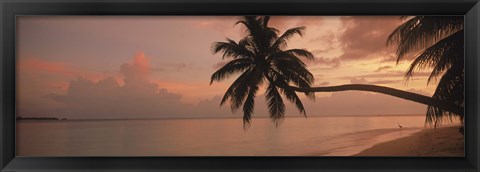 Framed Silhouette of palm trees on the beach at sunrise, Fihalhohi Island, Maldives Print