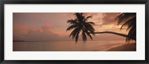 Framed Silhouette of palm trees on the beach at sunrise, Fihalhohi Island, Maldives Print