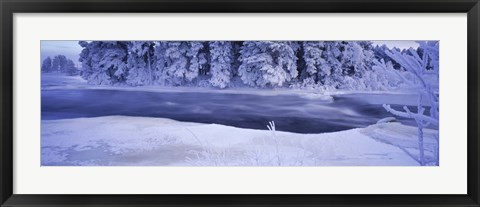 Framed River flowing through a snow covered forest, Dal River, Sweden Print