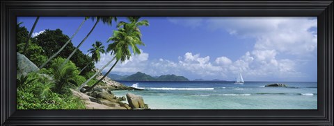 Framed Palm trees on the beach, Anse Severe, La Digue Island, Praslin Island, Seychelles Print