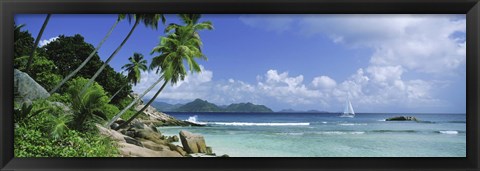 Framed Palm trees on the beach, Anse Severe, La Digue Island, Praslin Island, Seychelles Print